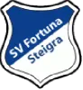 Fortuna Steigra