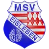 SG MSV Eisleben